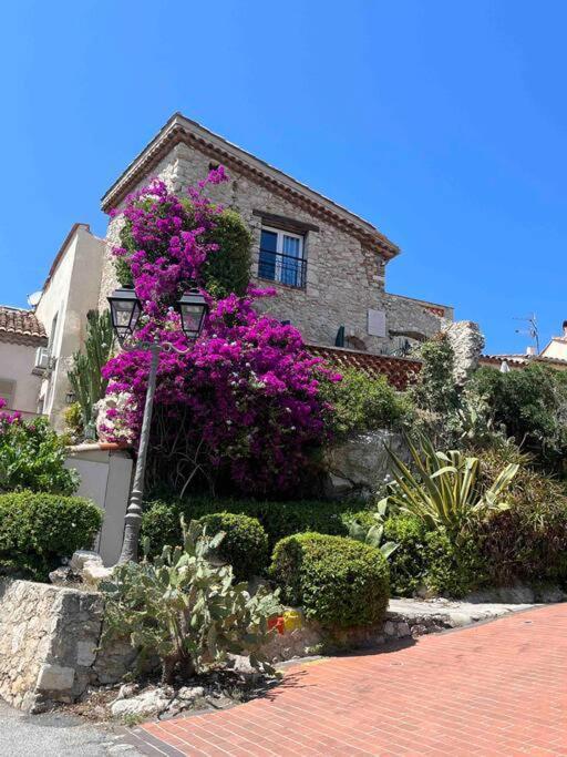 Moringa - New Unit For 2 Ac Close To Beach Antibes Eksteriør bilde